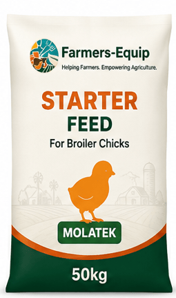 Starter